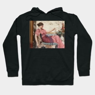 An Amateur by John William Godward Hoodie